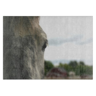 Tabla De Cortar Ojo De Un Animal De Caballo Gris Y De Cuello