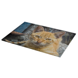 Tabla De Cortar Ojos dorados