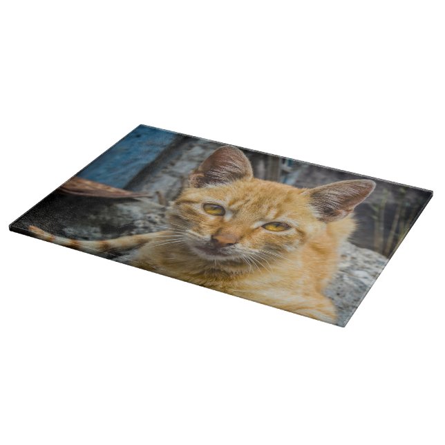 Tabla De Cortar Ojos dorados (Borde)