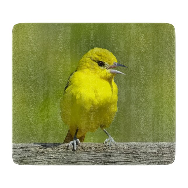 Tabla De Cortar Orchard Oriole - Fotografía Original (Anverso)