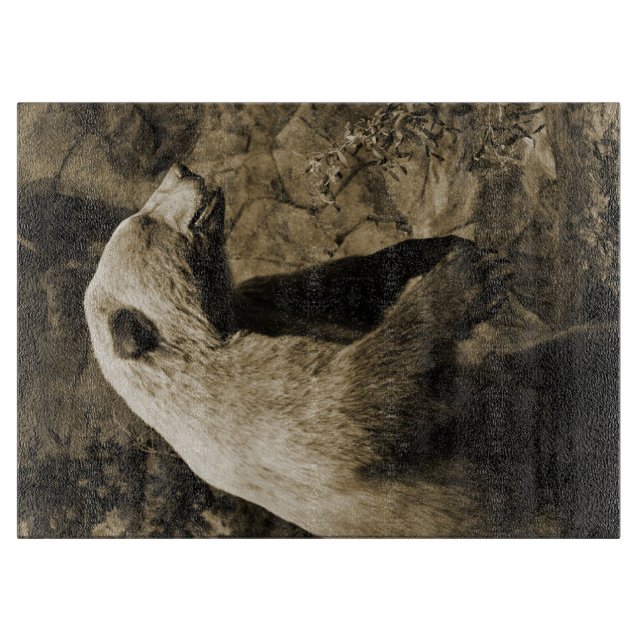 Tabla De Cortar Orgullo (Anverso)