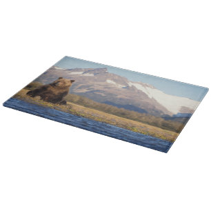 Tabla De Cortar oso pardo, Ursus arctos, oso grizzly, Ursus