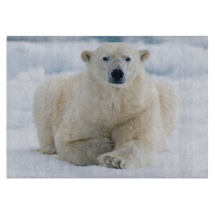 Tabla De Cortar Oso polar adulto en el hielo de verano
