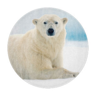 Tabla De Cortar Oso polar adulto gran jabalí en el hielo de verano