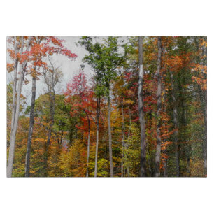 Tabla De Cortar Otoño en el bosque Fotografía de otoño colorido