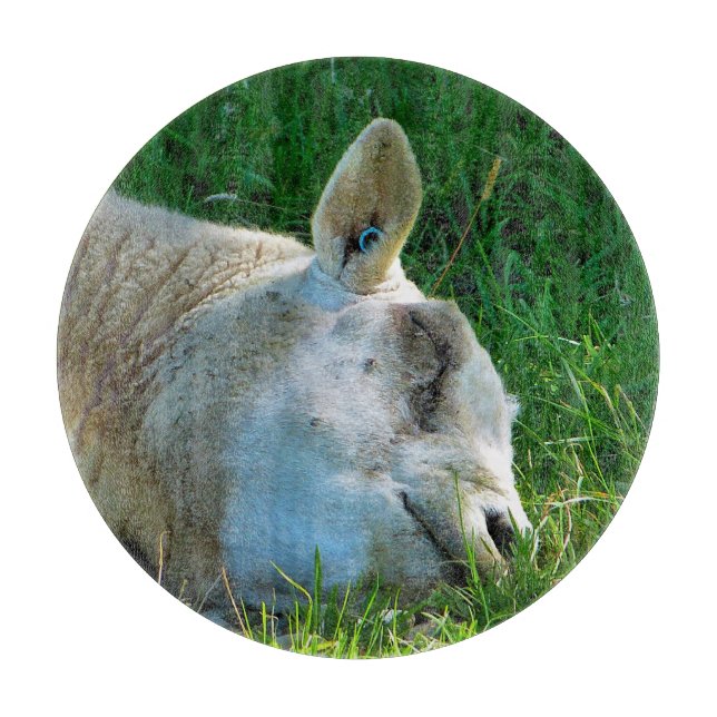 TABLA DE CORTAR OVEJAS (Anverso)