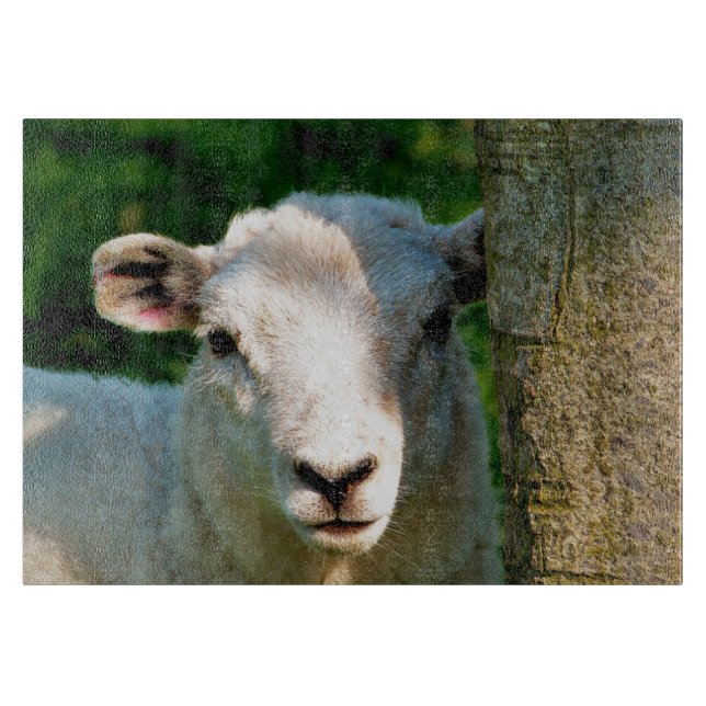 TABLA DE CORTAR OVEJAS CORTAS (Anverso)