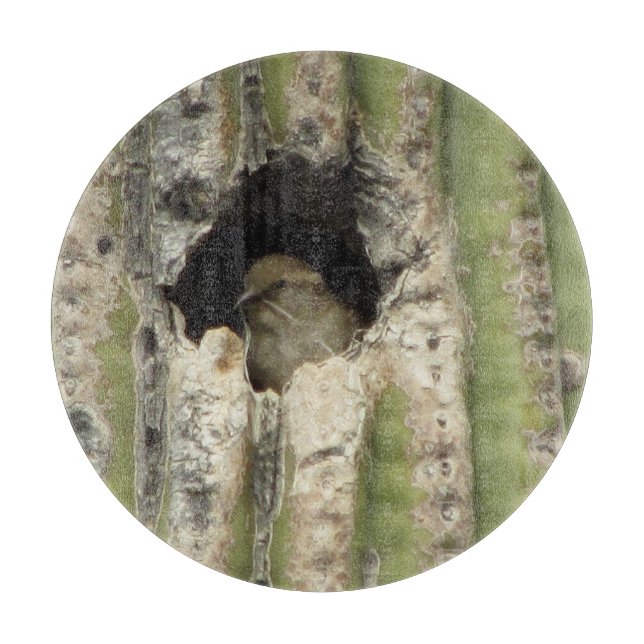 Tabla De Cortar Pájaro en una jerarquía del Saguaro (Anverso)