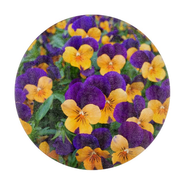 Tabla De Cortar Pansy Bloom: La Belleza Jardín de cerca. (Anverso)