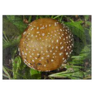 Tabla De Cortar Panther Cap Mushroom Glopping Board