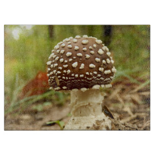 Tabla De Cortar Panther Cap Mushroom Glopping Board