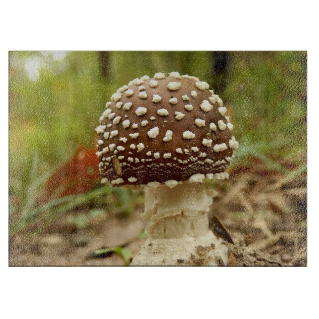 Tabla De Cortar Panther Cap Mushroom Glopping Board (Anverso)