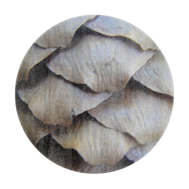 Tabla De Cortar Patrón De Cono De Fir (Anverso)