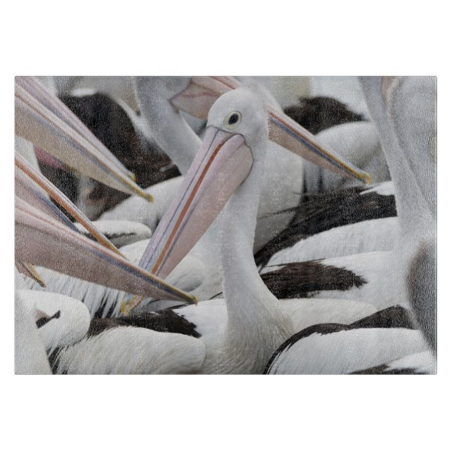 Tabla De Cortar Pelican Pod (Anverso)