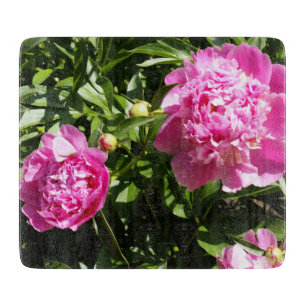 Tabla De Cortar peonías rosadas oscuras