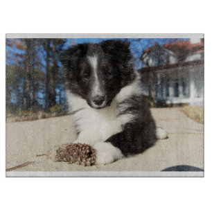 Tabla De Cortar perrito blanco y negro de shap