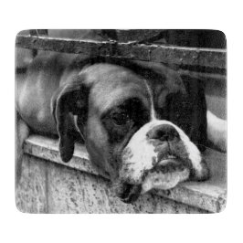 Tabla De Cortar Perro Boxer En Windowsill cbcnm