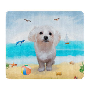 Tabla De Cortar Perro maltés en la playa