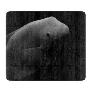 Tabla De Cortar Pescado en tanque - Fotografía de arte blanco y ne
