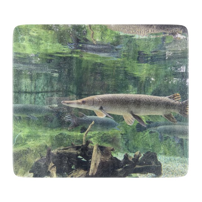 Tabla De Cortar Pescados de Pike (Anverso)