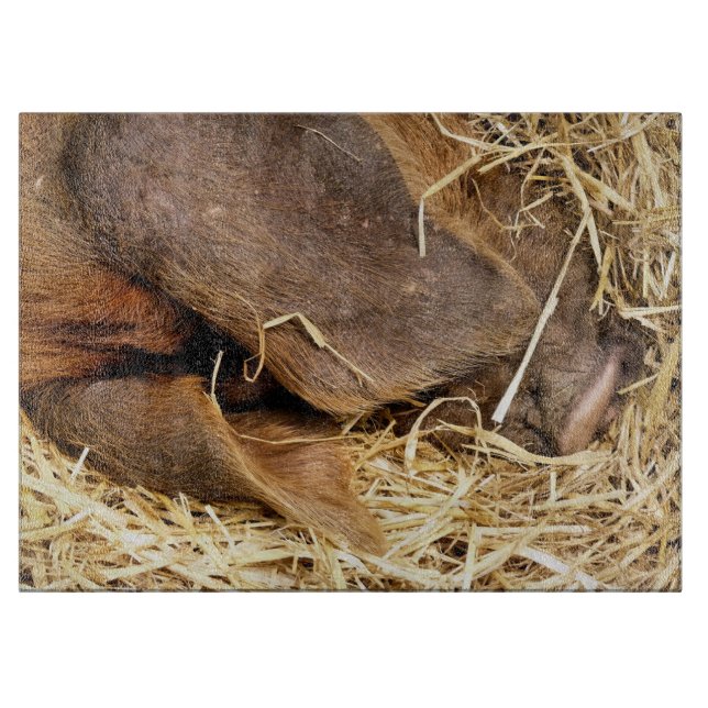 TABLA DE CORTAR PIGS (Anverso)