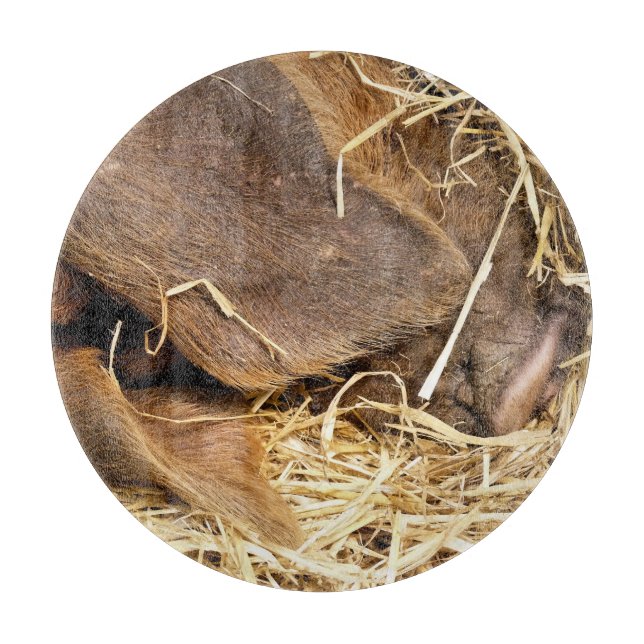 TABLA DE CORTAR PIGS (Anverso)