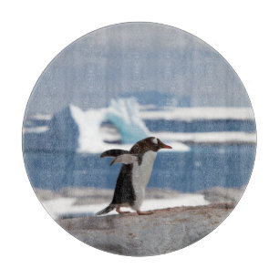 Tabla De Cortar Pingüino frente a un arco de hielo