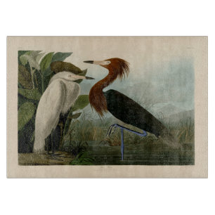 Tabla De Cortar Pintado de vida salvaje morado de la garza Audubon