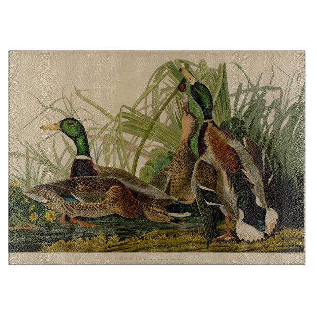 Tabla De Cortar Pintura de pájaro de Mallard Duck Audubon (Anverso)