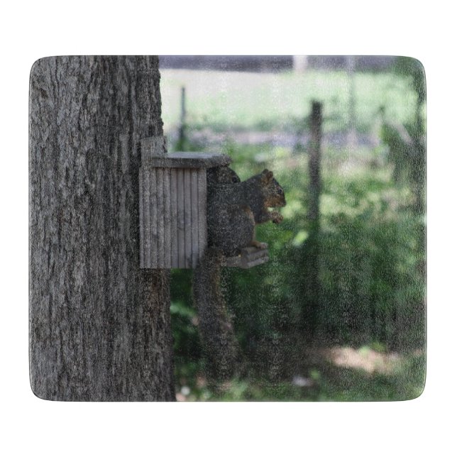 Tabla De Cortar Placa de corte de ardillas (Anverso)