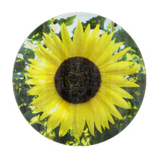 Tabla De Cortar Placa de corte de vidrio de Sensación de girasol