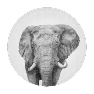 Tabla De Cortar Plan de respaldo IV