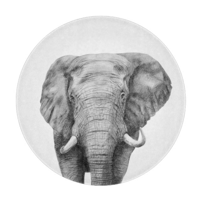 Tabla De Cortar Plan de respaldo IV (Anverso)