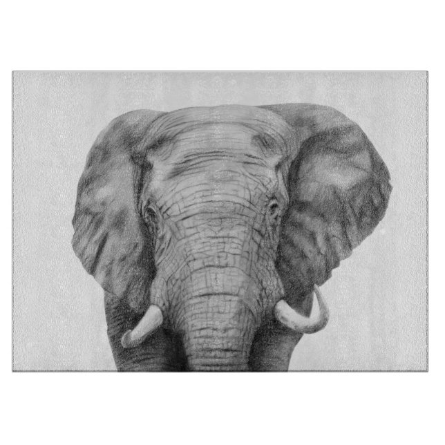 Tabla De Cortar Plan de respaldo IV (Anverso)