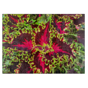 Tabla De Cortar Planta Coleus roja y verde