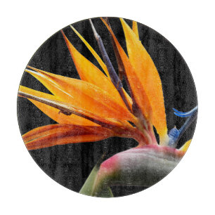 Tabla De Cortar Planta de Ave del Paraíso Naranja sobre Negro