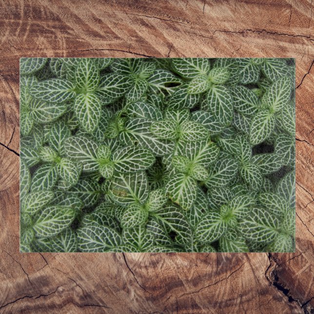 Tabla De Cortar Planta de nervio verde deja flores (In Situ)