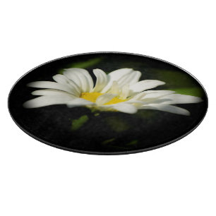 Tabla De Cortar Plantilla de placa de corte de vidrio redondo