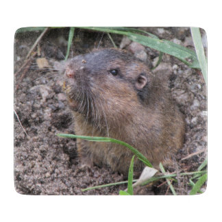 Tabla De Cortar Pocket Gopher