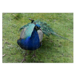 Tabla De Cortar Poderoso Pavo Real Regio
