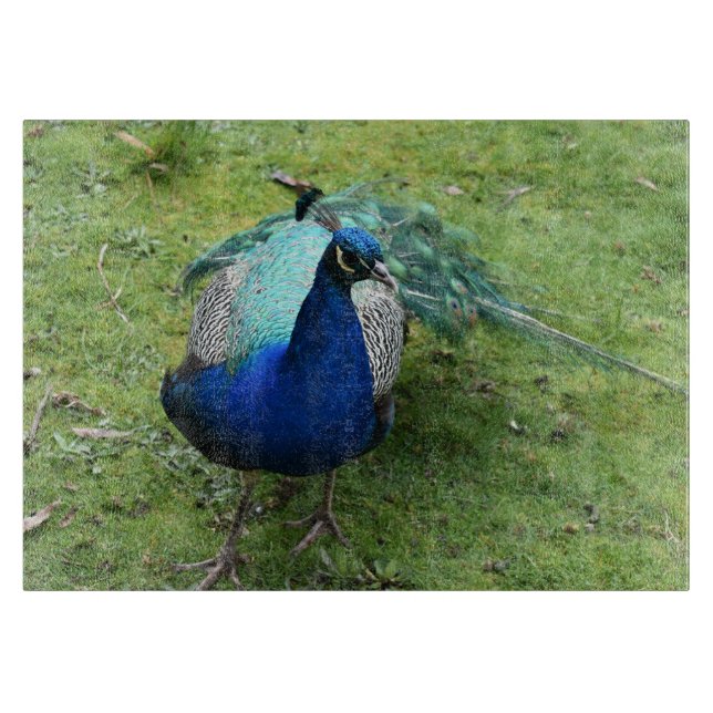 Tabla De Cortar Poderoso Pavo Real Regio (Anverso)