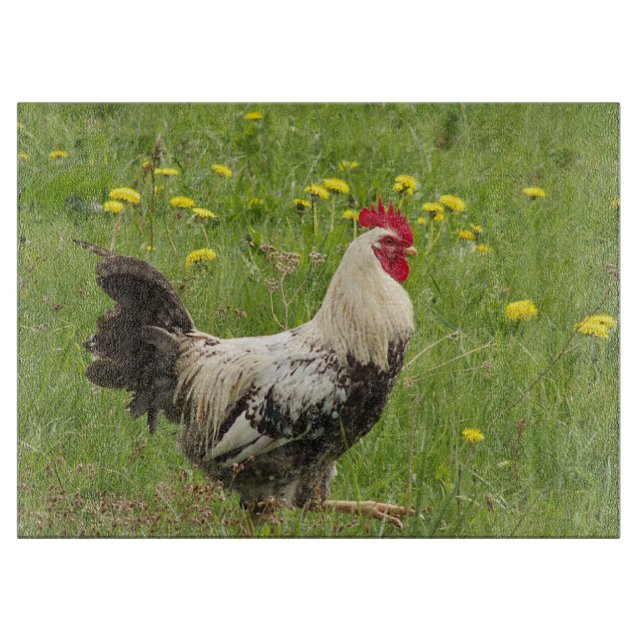 Tabla De Cortar pollo, gallo, animal, ave, granja, agricultura, (Anverso)