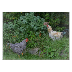 Tabla De Cortar Pollos En El Patio De Corte De Jardín