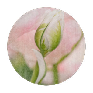 Tabla De Cortar Primer plano de tulipán y capullo