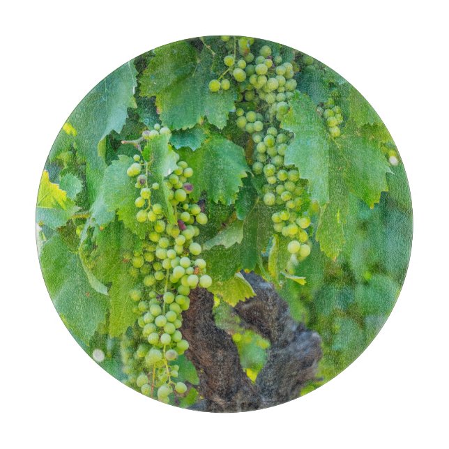 Tabla De Cortar Primer plano de uvas madurando (Anverso)