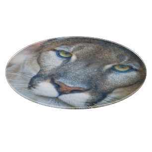Tabla De Cortar Puma, león de montaña, pantera de Florida, Puma 2