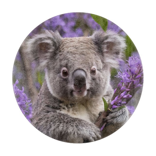 Tabla De Cortar Purple Jacaranda Koala Bear, (Anverso)