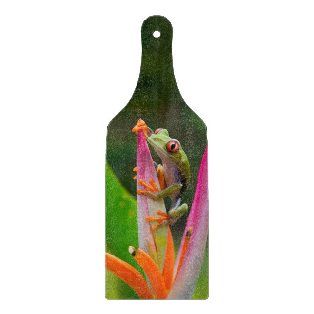Tabla De Cortar Rana de los ojos rojos, Costa Rica (Anverso)