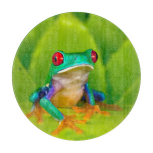 Tabla De Cortar Rana de ojos rojos, Costa Rica