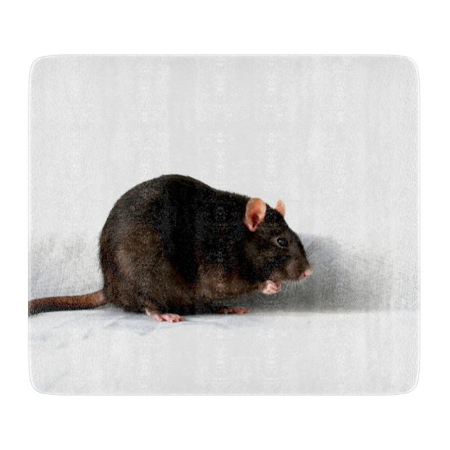 Tabla De Cortar Rat cbcna (Anverso)